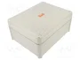 OBO BETTERMANN Caja de conexiones T 250 OE HD LGR gris claro