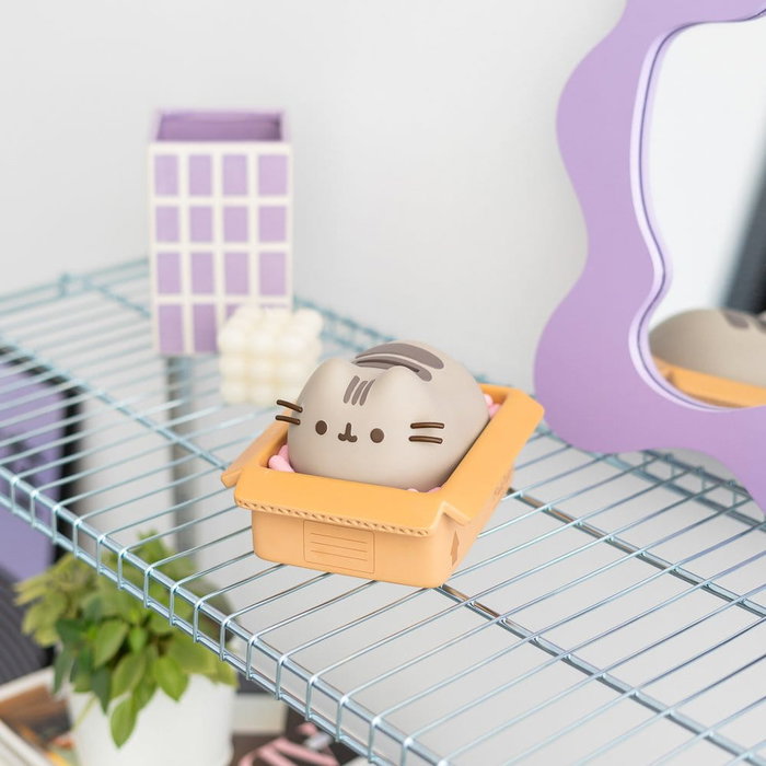 Pusheen Hucha