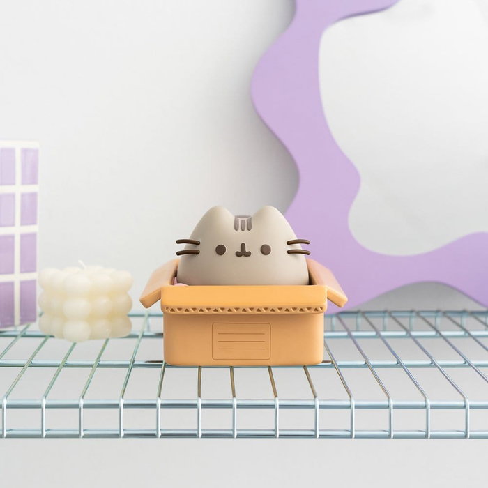 Pusheen Hucha