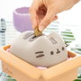 Pusheen Hucha