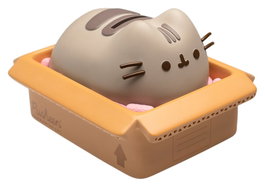 Pusheen Hucha