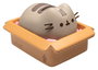 Pusheen Hucha