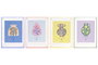 DKD Home Decor Set de 4 Marcos de Fotos de Acrílico Multicolor 25,5x34,5 cm