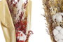 DKD Home Decor Ramo de Flores Secas Preservadas Surtido Rojo y Blanco