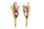 DKD Home Decor Ramo de Flores Secas Preservadas Surtido Rojo y Blanco