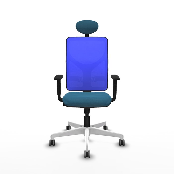 PIQUERAS Y CRESPO Silla de oficina Motilla con mecanismo Sincro, Tela Verde petróleo y Malla Azul PIQUERAS Y CRESPO Silla de oficina Motilla con mecanismo Sincro, Tela Verde petróleo y Malla Azul