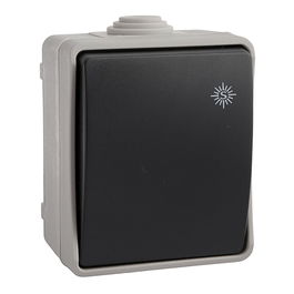 Solera Interruptor Estanco Bipolar Superficie 10A 250V IP54, Color Gris/Negro, Modelo M/20, Medidas 65x80x55 mm