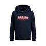 Sudadera con Capucha Unisex Jack & Jones Jjurban Sky Captain