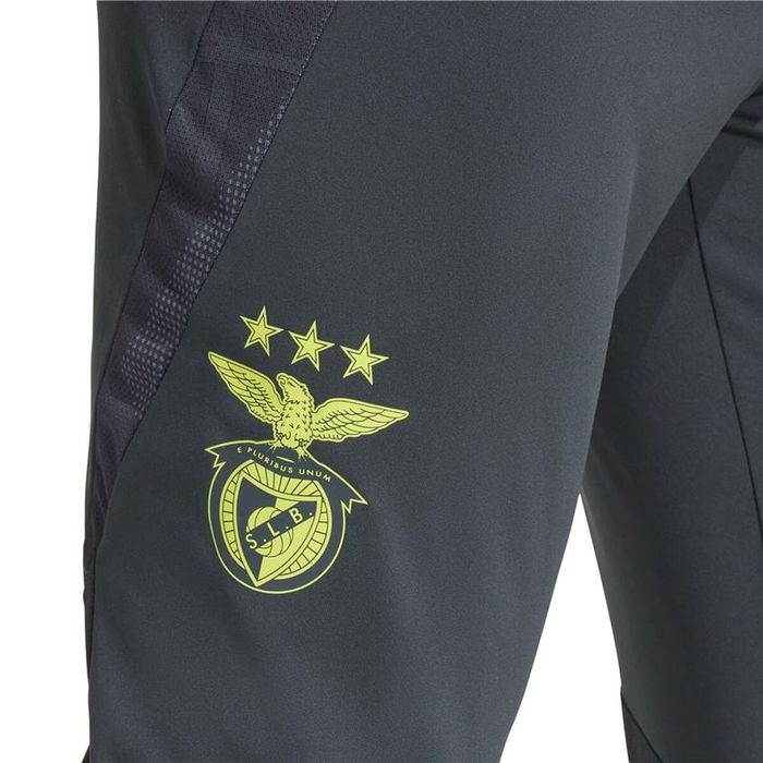 Pantalón de Entrenamiento de Fútbol para Adultos Adidas SL Benfica 24/25 Tiro24 Gris Hombre XS