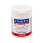 Lamberts Fosfatidilserina 100 mg con Zinc 60 tabletas