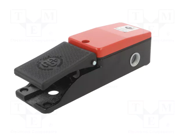 BERNSTEIN AG Interruptor de pie (SPST-NO + SPST-NC) x2 3A/250VAC IP65