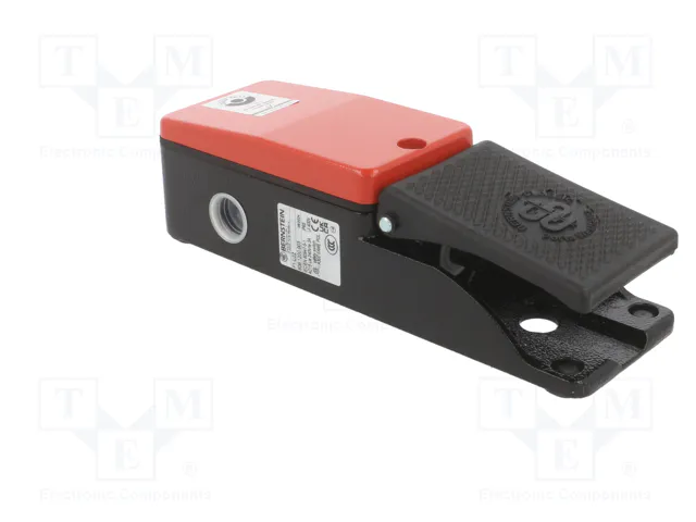 BERNSTEIN AG Interruptor de pie (SPST-NO + SPST-NC) x2 3A/250VAC IP65