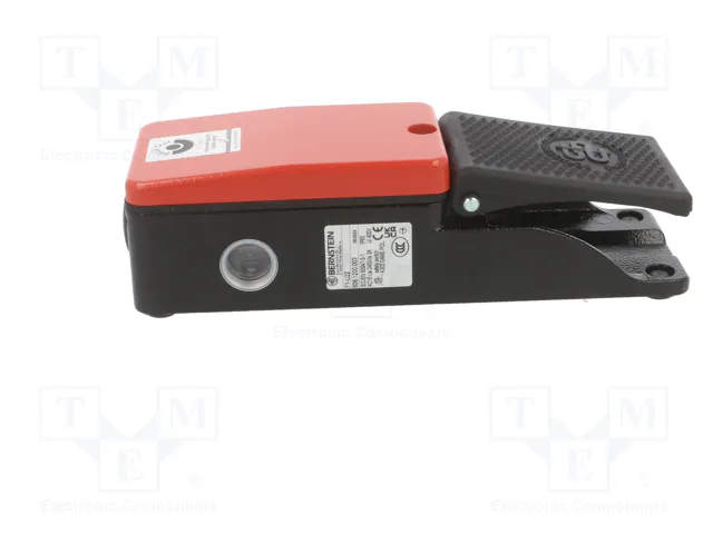 BERNSTEIN AG Interruptor de pie (SPST-NO + SPST-NC) x2 3A/250VAC IP65