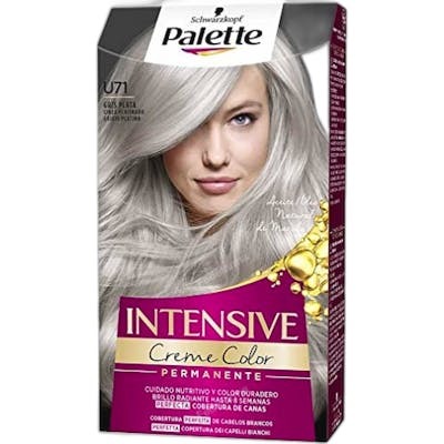 Palette Intensive Tinte Permanente U71-gris plata