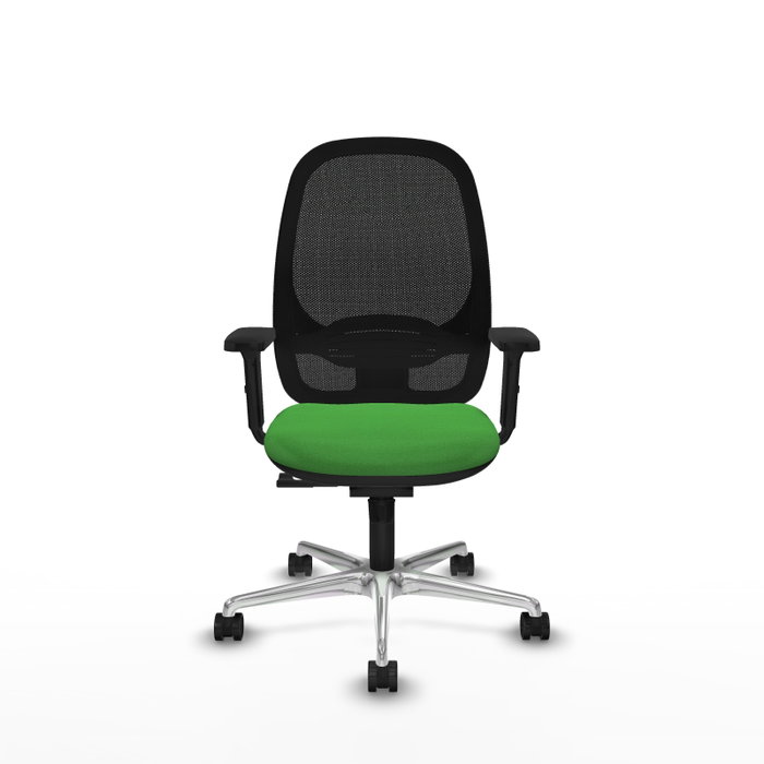 PIQUERAS Y CRESPO Silla de oficina Cilanco con mecanismo Sincro Verde y Negro PIQUERAS Y CRESPO Silla de oficina Cilanco con mecanismo Sincro Verde y Negro