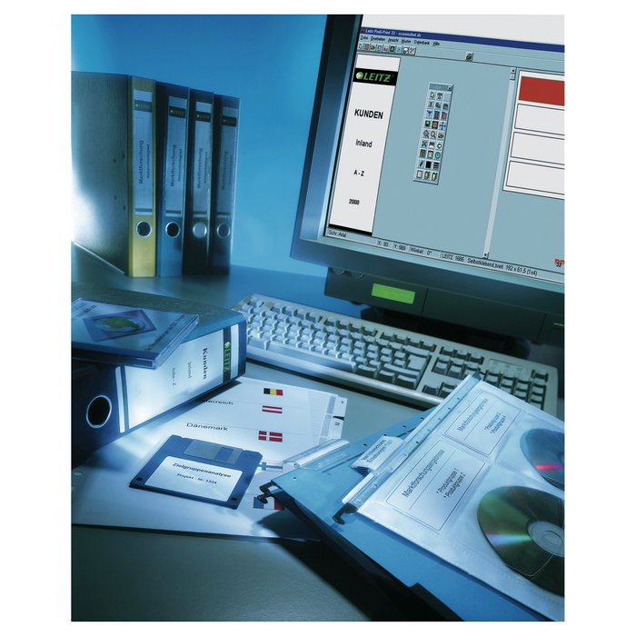 LEITZ Etiquetas autoadhesivas 1688 para lomo de 5,2 cm, 39 x 285 mm, Gris LEITZ Etiquetas autoadhesivas 1688 para lomo de 5,2 cm, 39 x 285 mm, Gris