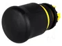 EATON ELECTRIC Interruptor de emergencia RMQ-Titan negro 22mm