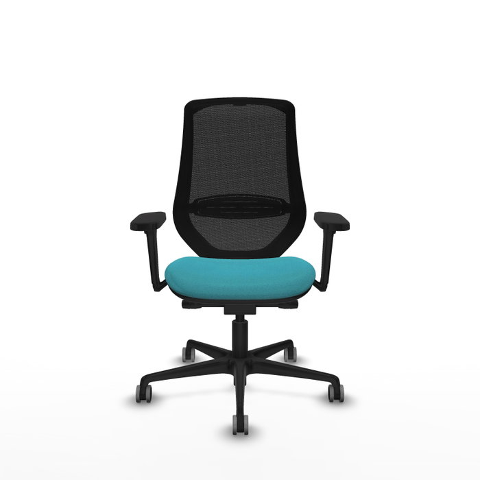 PIQUERAS Y CRESPO Silla de oficina Mardos con mecanismo Sincro/Traslack Turquesa y Negro PIQUERAS Y CRESPO Silla de oficina Mardos con mecanismo Sincro/Traslack Turquesa y Negro
