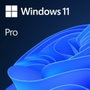 Microsoft Windows 11 Pro 64 bits OEM DVD Español