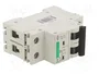 Promfactor Baltic Interruptor magnetotérmico ECO 25A 2 polos
