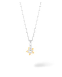 Secrecy Collar con Colgante STAR Gold & Silver en Plata de Ley
