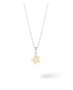 Secrecy Collar con Colgante STAR Gold & Silver en Plata de Ley