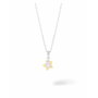 Secrecy Collar con Colgante STAR Gold & Silver en Plata de Ley