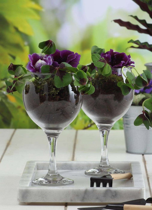 Hermia LV-MIS549F Juego de Vasos de Vidrio de Alta Calidad, Elegantes y Sofisticados para Cualquier Ocasión, 6 Piezas, Transparente
