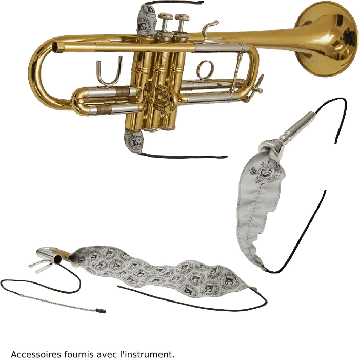 SML Fliscorno BU600, Alto 35 cm, Largo 51 cm, Ancho 22 cm