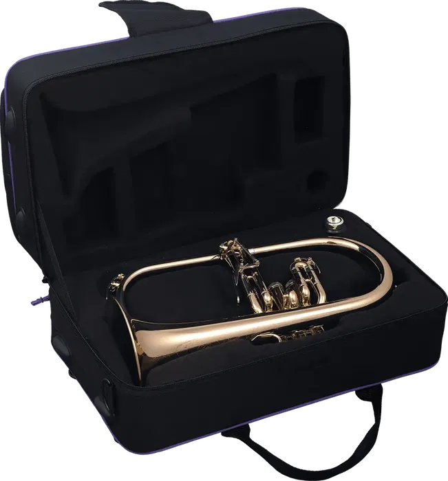 SML Fliscorno BU600, Alto 35 cm, Largo 51 cm, Ancho 22 cm