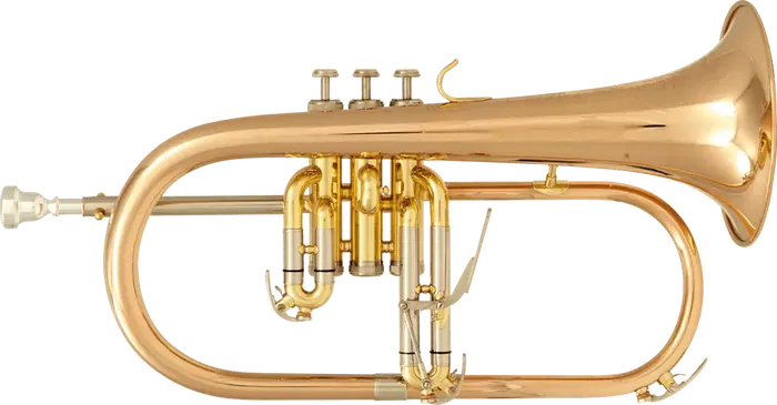 SML Fliscorno BU600, Alto 35 cm, Largo 51 cm, Ancho 22 cm