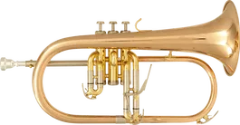 SML Fliscorno BU600, Alto 35 cm, Largo 51 cm, Ancho 22 cm