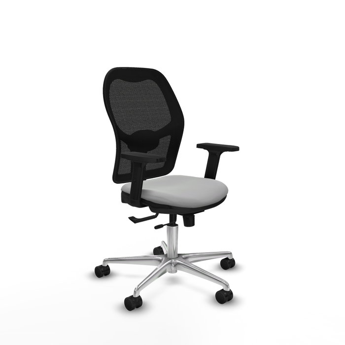 PIQUERAS Y CRESPO Silla de oficina Jorquera Gris claro/Negro PIQUERAS Y CRESPO Silla de oficina Jorquera Gris claro/Negro