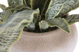 DKD Home Decor Planta Verde Beige 60 x 100 x 60 cm