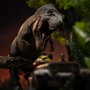 Iron Studios Parque Jurásico Estatua 1/20 Demi Art Scale T-Rex Chase
