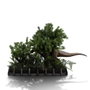 Iron Studios Parque Jurásico Estatua 1/20 Demi Art Scale T-Rex Chase