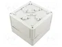 SPELSBERG TK PC 1313-10-O Carcasa Universal de Policarbonato Gris