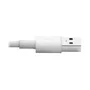 Tripp Lite M100-006-WH Cable USB A a Lightning de 1.83 m (6 pies) para Sincronización y Carga, Certificado MFi, Blanco, Compatible con iPhone, iPad, iPod