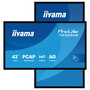 IIYAMA T4329AS-B1AG Monitor Táctil 43" 4K PCAP 3840x2160 24/7 Negro