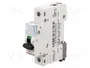 LEGRAND S300 TX Interruptor magnetotérmico 6A 1 Polo Curva C