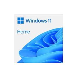 Microsoft Windows 11 Home Box-Pack con unidad Flash y 1 licencia