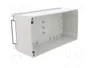 FIBOX EURONORD Carcasa Universal Gris