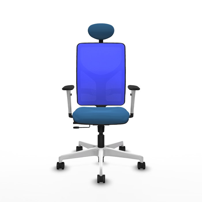PIQUERAS Y CRESPO Silla de oficina Motilla con mecanismo Sincro/Traslack Azul PIQUERAS Y CRESPO Silla de oficina Motilla con mecanismo Sincro/Traslack Azul