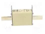 MERSEN Fusible NH1 de cerámica industrial 100A 690VAC