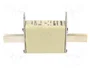 MERSEN Fusible NH1 de cerámica industrial 100A 690VAC