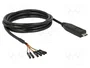 DeLOCK 63946 Convertidor USB Type-C™ 2.0 a TTL (3,3 V) 6 Pin
