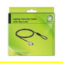 DeLOCK Cable de Seguridad para Laptop con Bloqueo de Llave, Acero al Carbono 1.5 m, Compatible con Ranura HP Nano, Incluye 2 Llaves, Negro/Plata