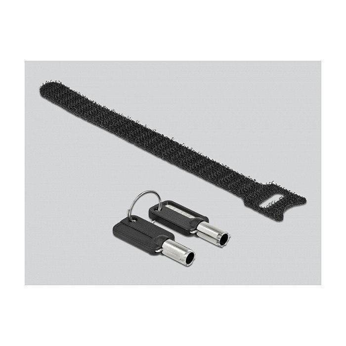 DeLOCK Cable de Seguridad para Laptop con Bloqueo de Llave, Acero al Carbono 1.5 m, Compatible con Ranura HP Nano, Incluye 2 Llaves, Negro/Plata