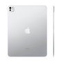 Apple iPad Pro 11 pulgadas M4 Wi-Fi 1TB Plata