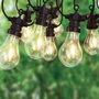 Party Lighting Guirnalda Vintage 20 LEDs Luz Cálida 12,5m